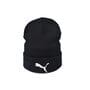Шапка Hip Hop Shop Puma 53-57 см чорна (H-08118-542)