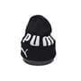 Шапка Flexfit Puma 53-57 см чёрная (F-09118-499)