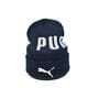Шапка Flexfit Puma 53-57 см темно-синяя (F-09118-500)