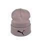 Шапка Hip Hop Shop Puma 55-59 см капучино (H-08118-539)