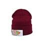 Шапка Hip Hop Shop EA7 55-59 см бордова (H-08118-521)