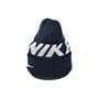 Шапка Flexfit Nike 53-57 см темно-синяя (F-09118-504)
